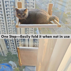 Gesomepurrz suction cups setup demonstrates renter-friendly no wall damage installation in seconds.