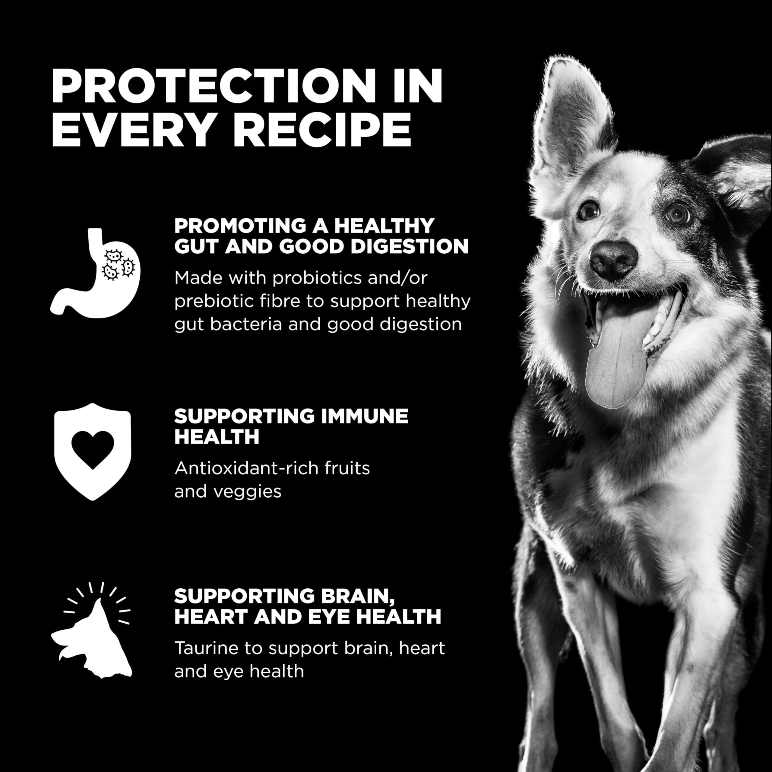 Go! Solutions omega-3-6 image showcases skin and coat nourishment