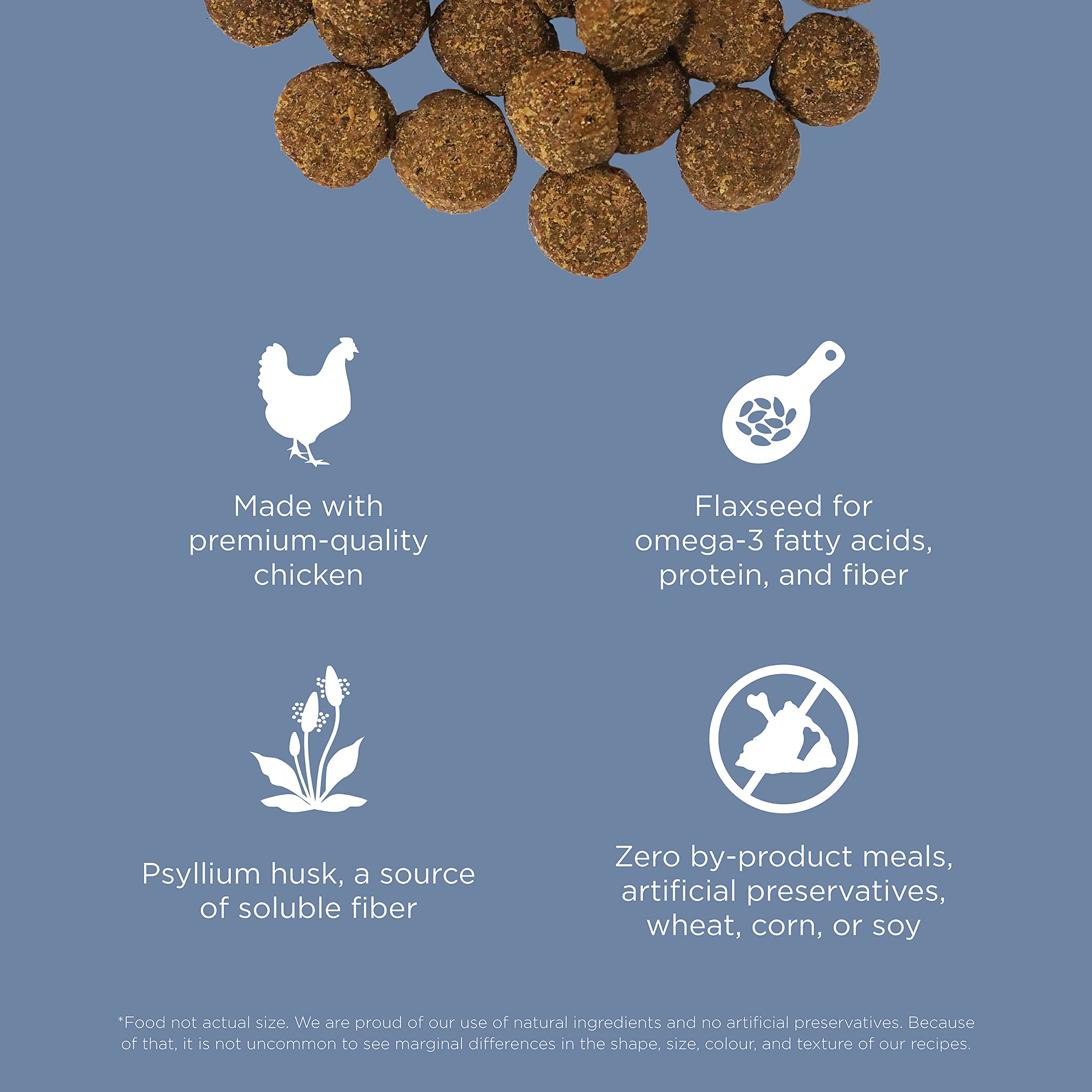 Go! Solutions kibble in bowl highlighting texture and color of molt protein