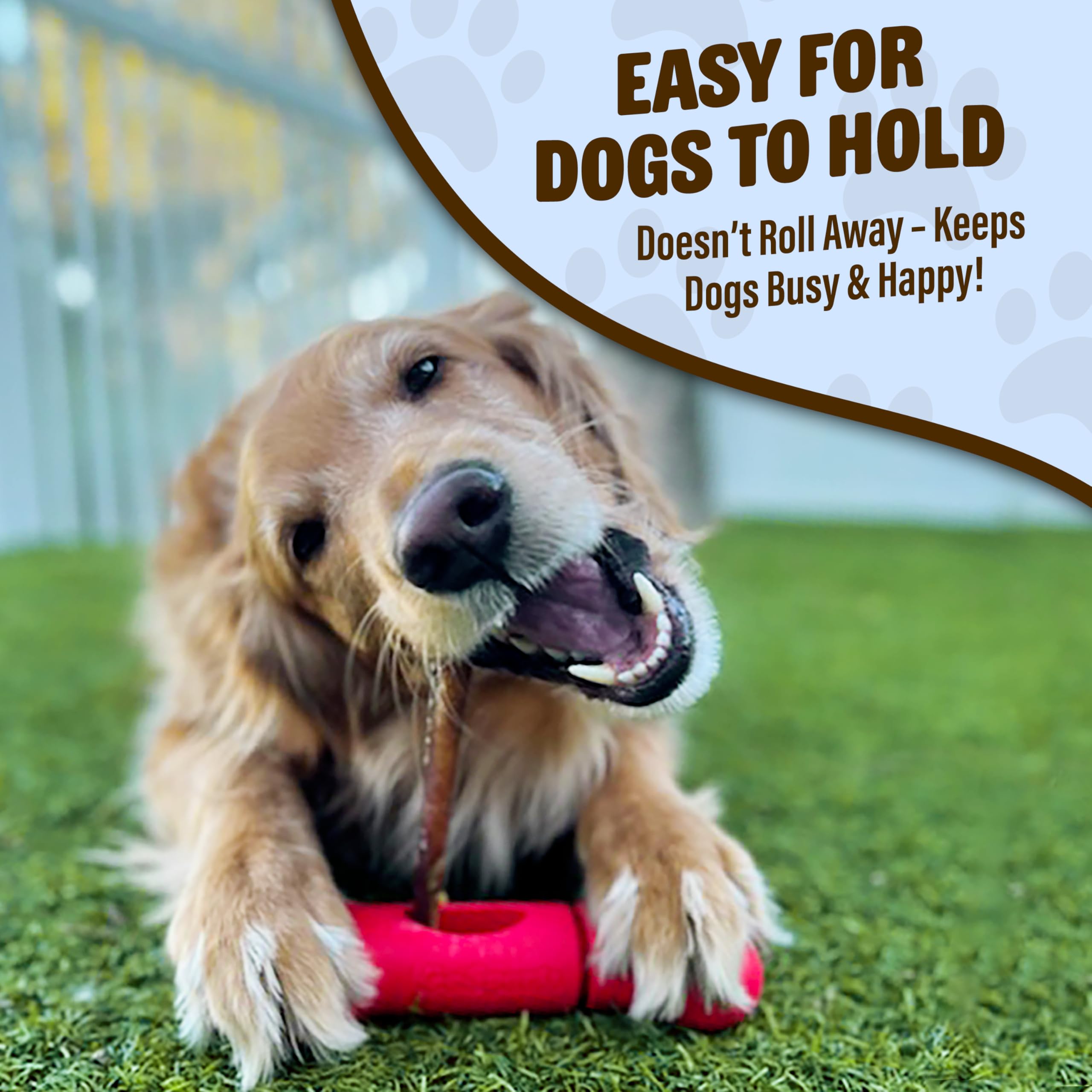GoSports Chew Champ in use keeps a dog busy during chew time.
