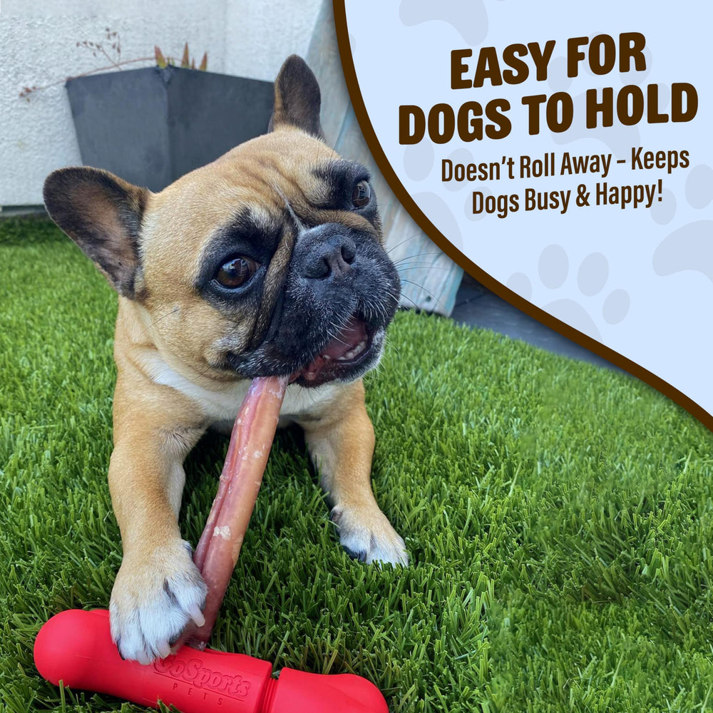 Small dog enjoying a chew with the Chew Champ holder.