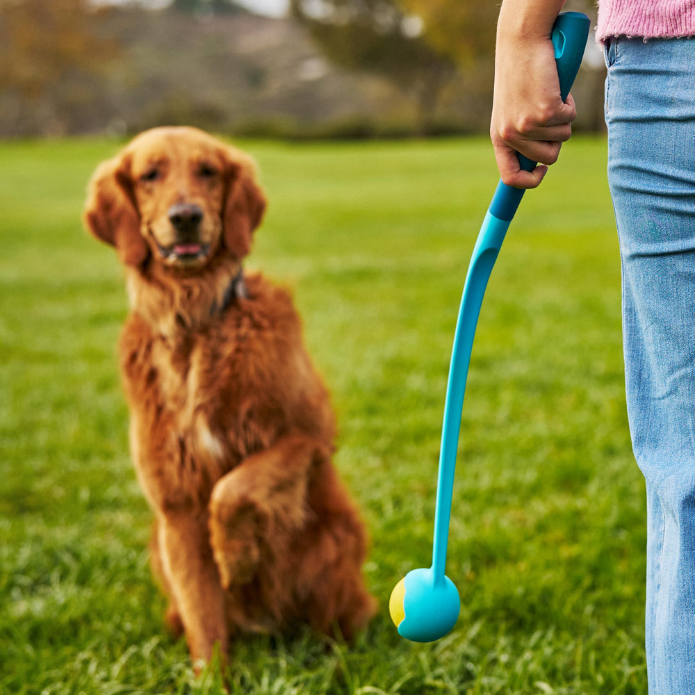 Durable GoSports Pets ball launcher ready for daily use.