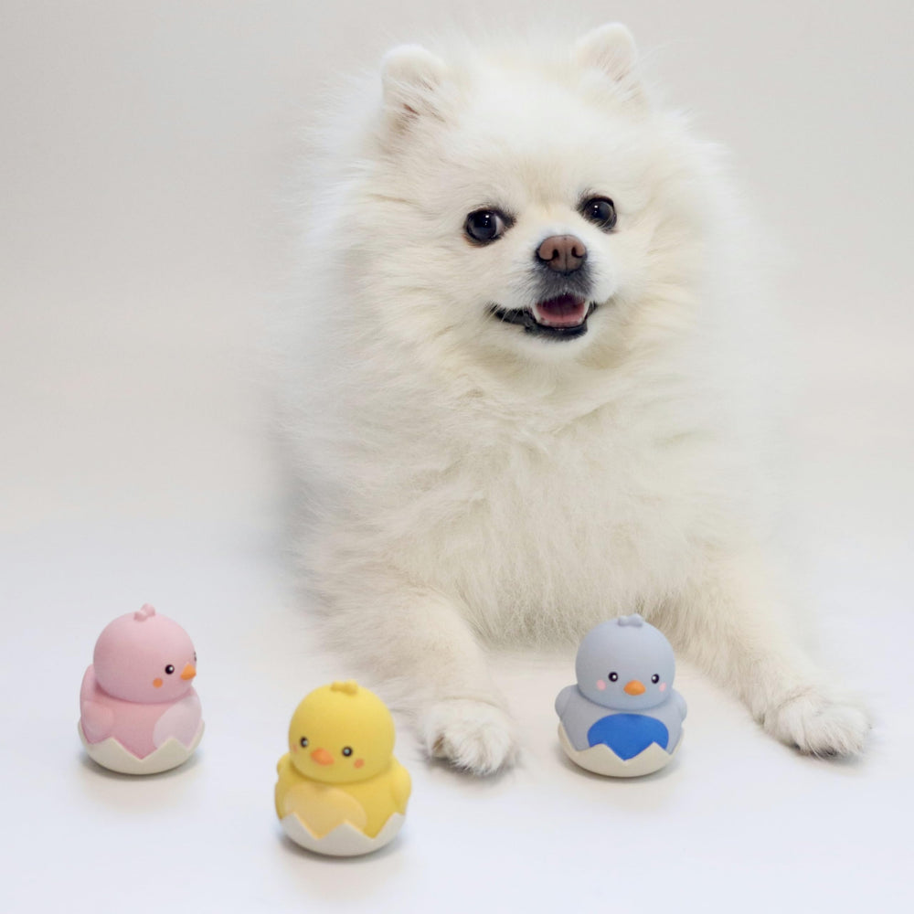 GOSUNY TOYS natural latex pack offers durable squeak entertainment