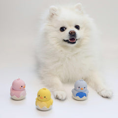 GOSUNY TOYS natural latex pack offers durable squeak entertainment