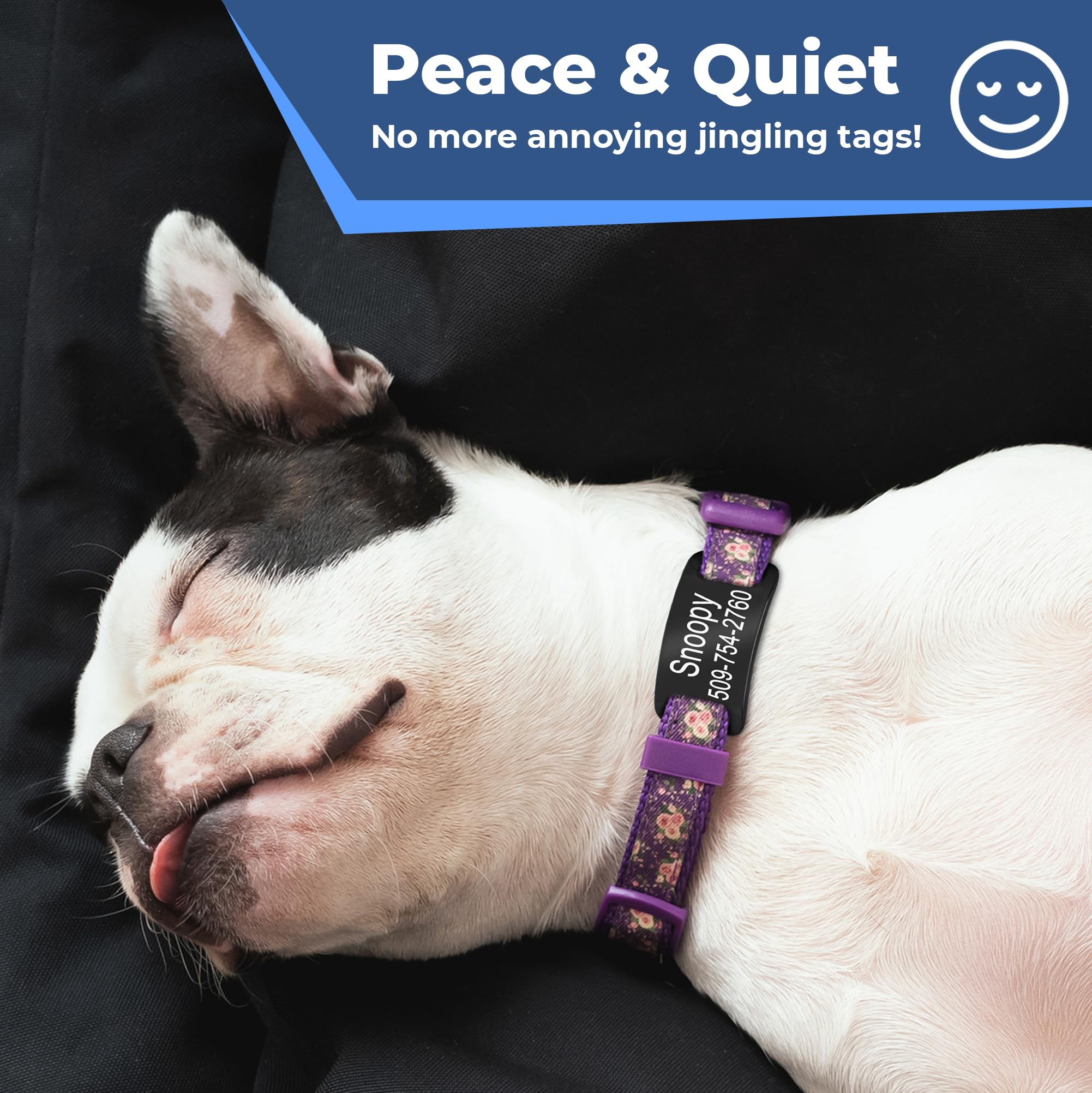 GoTags solid-design tag secures buckle collars and stays in place.