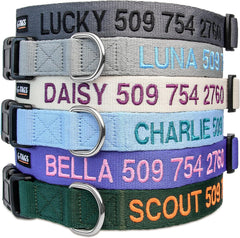 GoTags personalized dog collar embroidery close-up showing name and phone for quick ID
