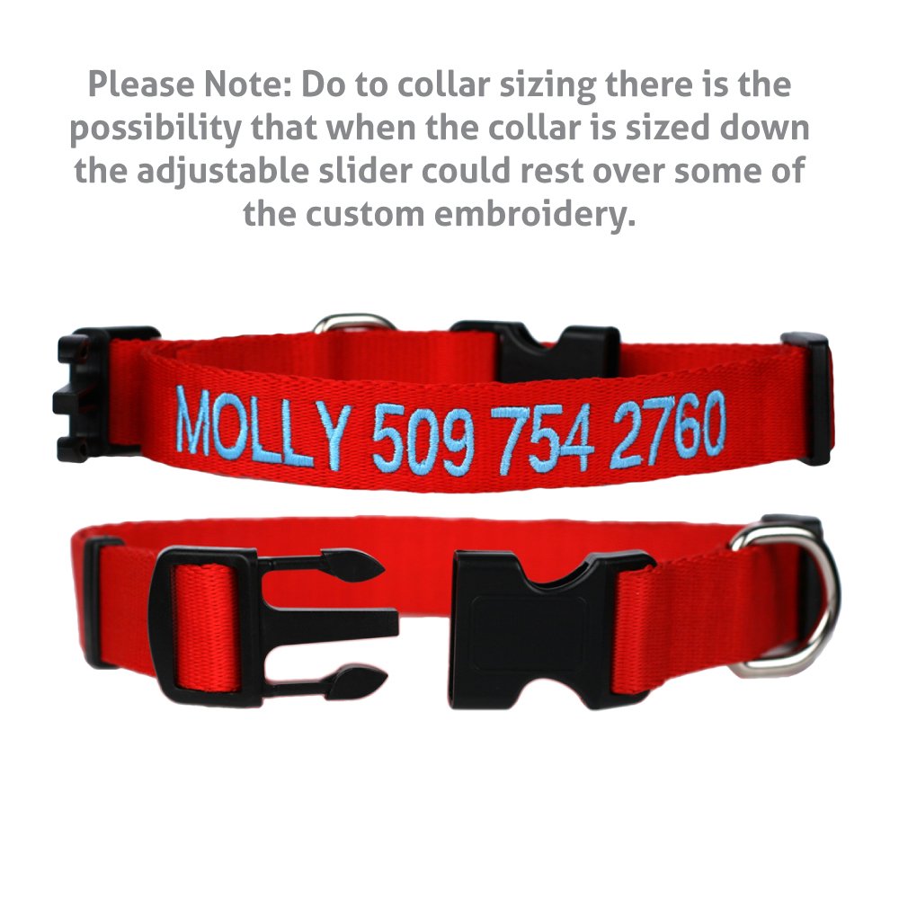 GoTags stainless-steel D-ring attachment supports sturdy tag and leash connection