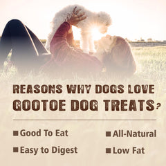 Gootoe Turkey Tendon Twist S close-up, natural single-protein snack for sensitive stomachs.