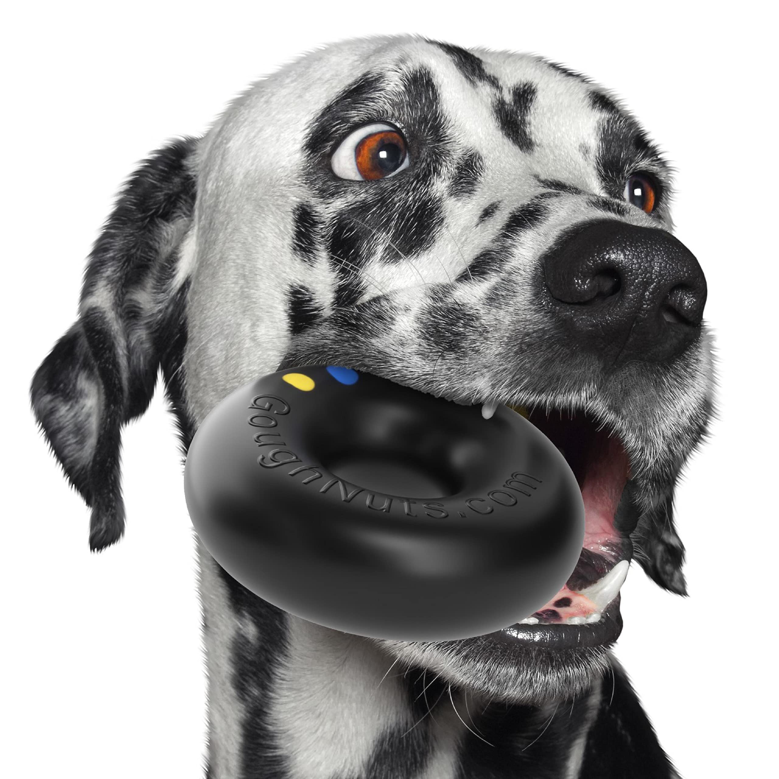 Goughnuts aggressive-chewer dog toy for powerful chewers.