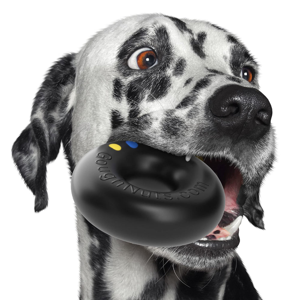 Goughnuts aggressive-chewer dog toy for powerful chewers.