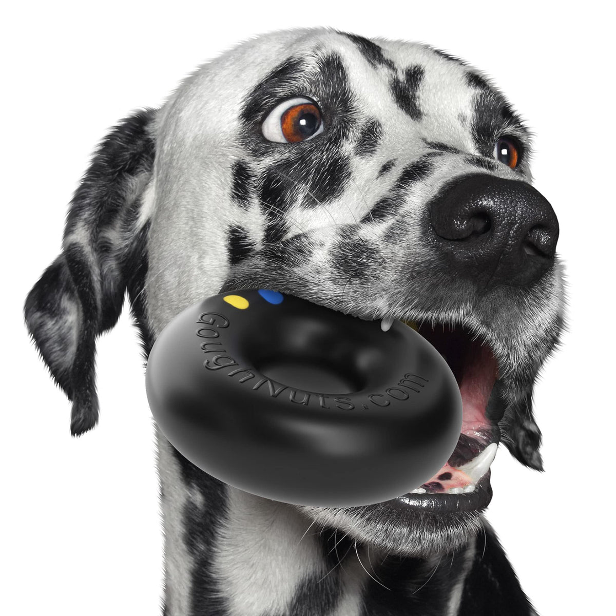 Goughnuts aggressive-chewer dog toy for powerful chewers.