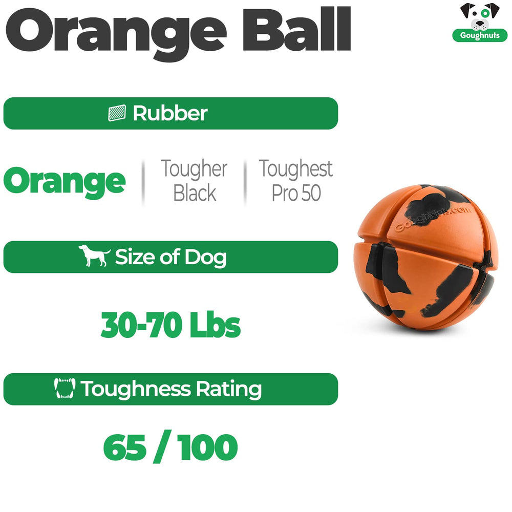 Goughnuts ball in action with a powerful chewer for interactive fetch