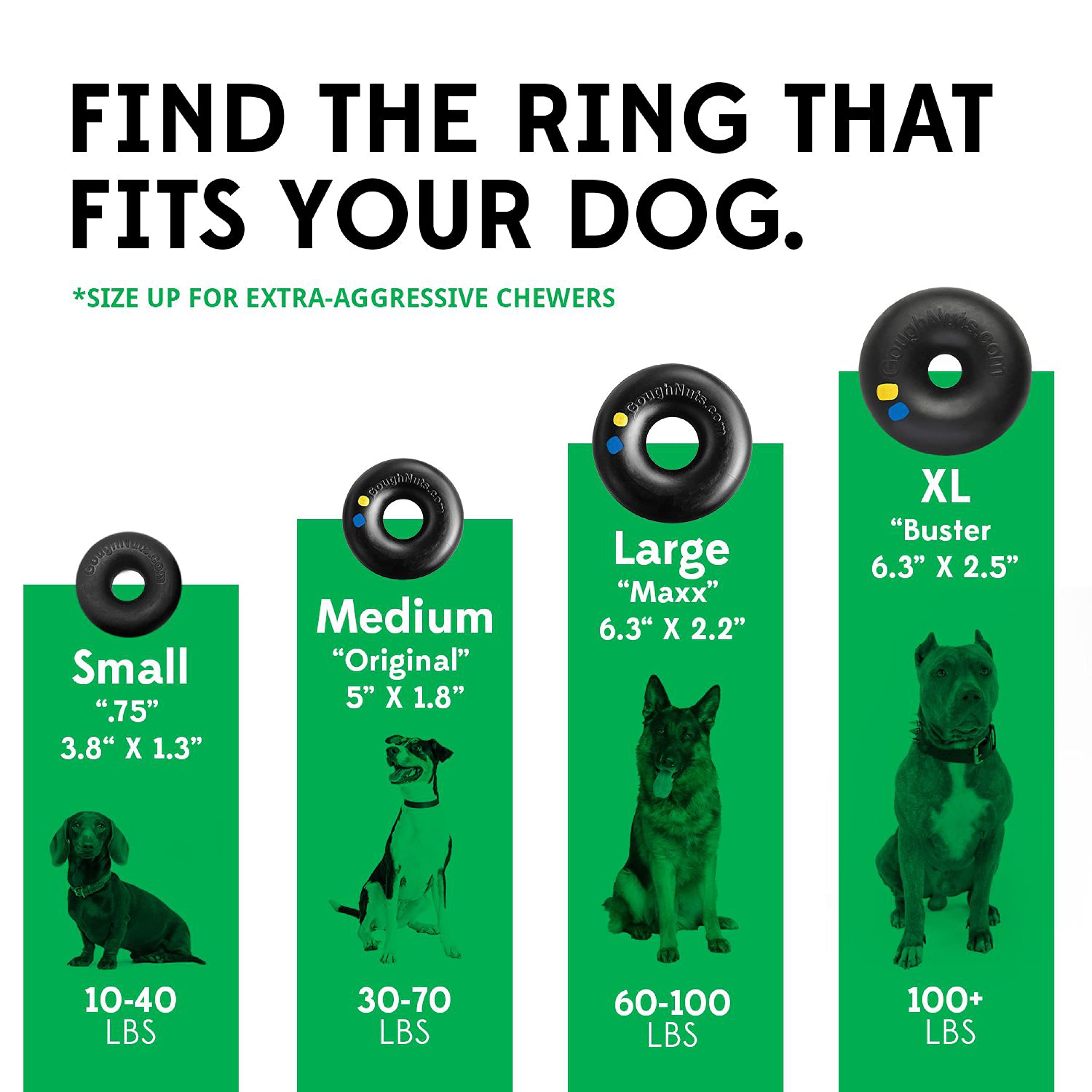 Goughnuts 5-inch ring for medium dogs offers a tough chew challenge.
