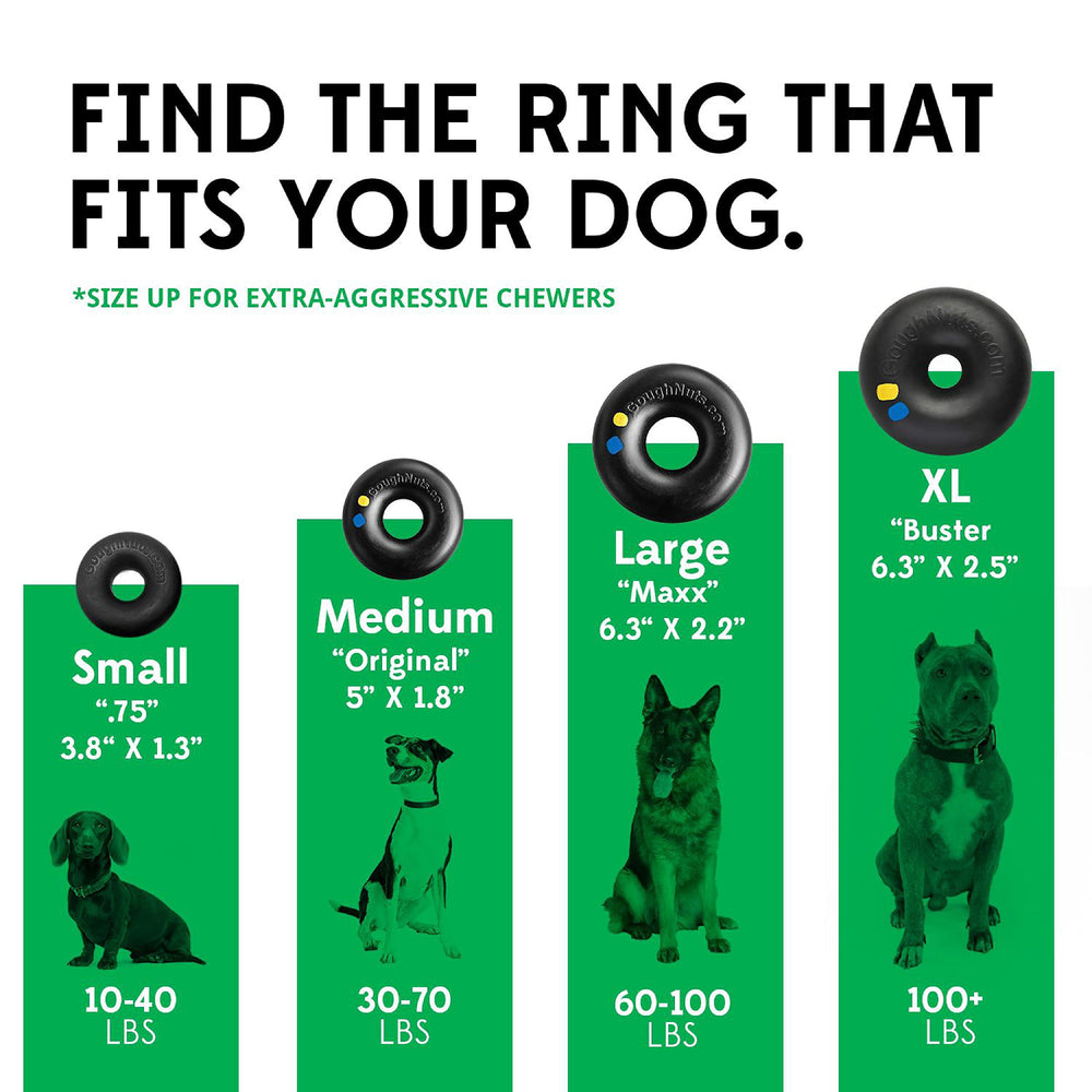 Goughnuts 5-inch ring for medium dogs offers a tough chew challenge.