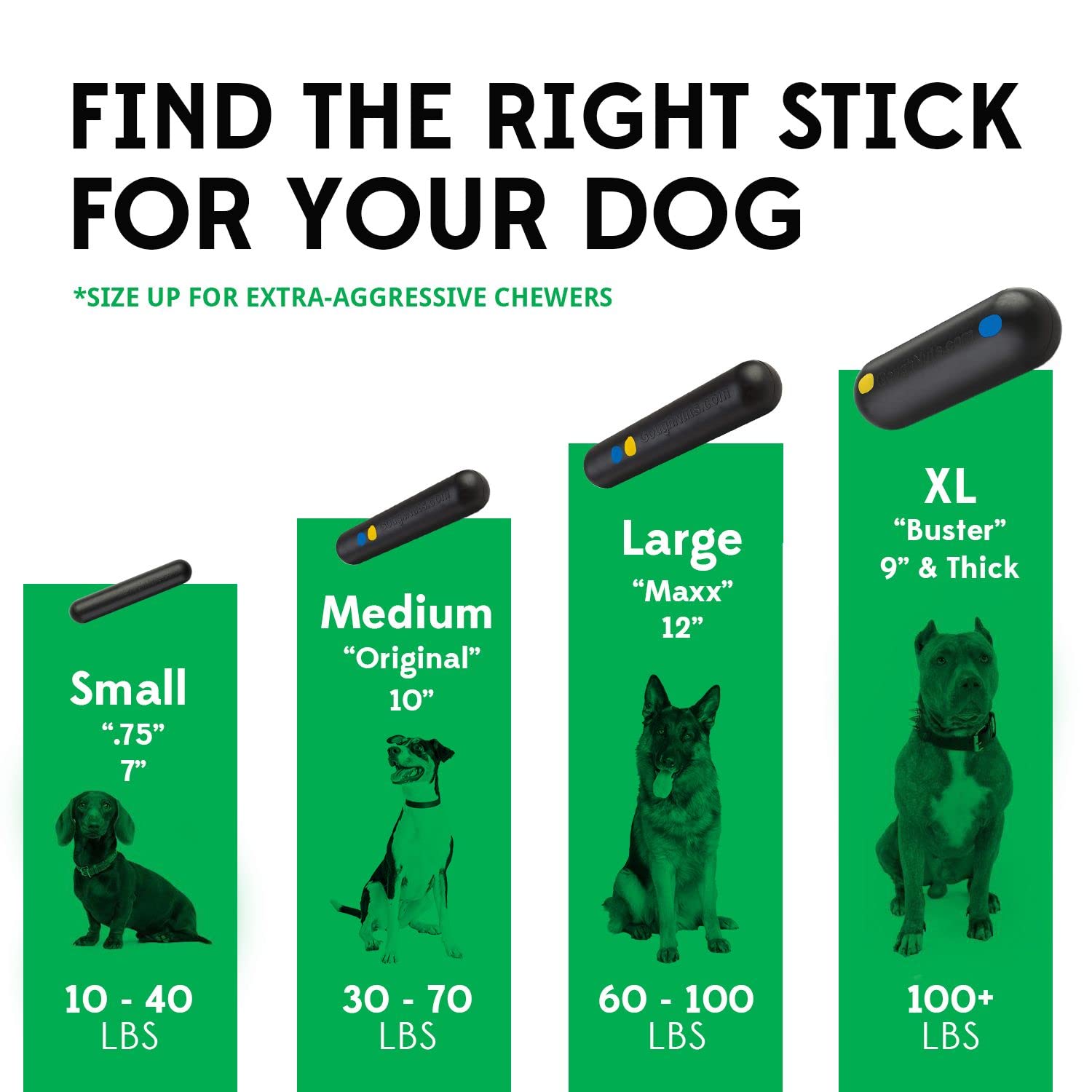 Goughnuts tough dog toy in action, keeping medium breeds engaged for longer play sessions.