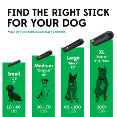 Goughnuts tough dog toy in action, keeping medium breeds engaged for longer play sessions.