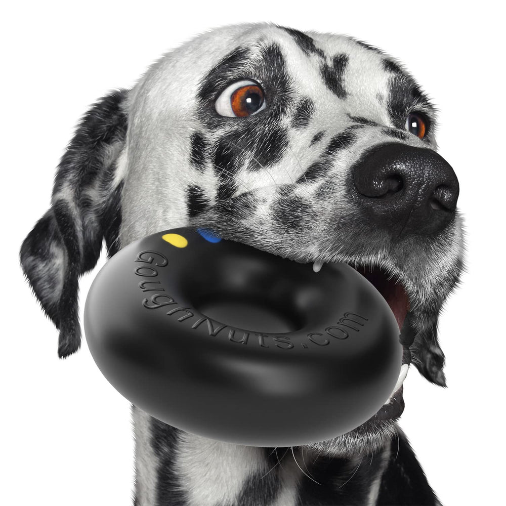 Goughnuts tough dog toy made of natural rubber withstands aggressive chewing.