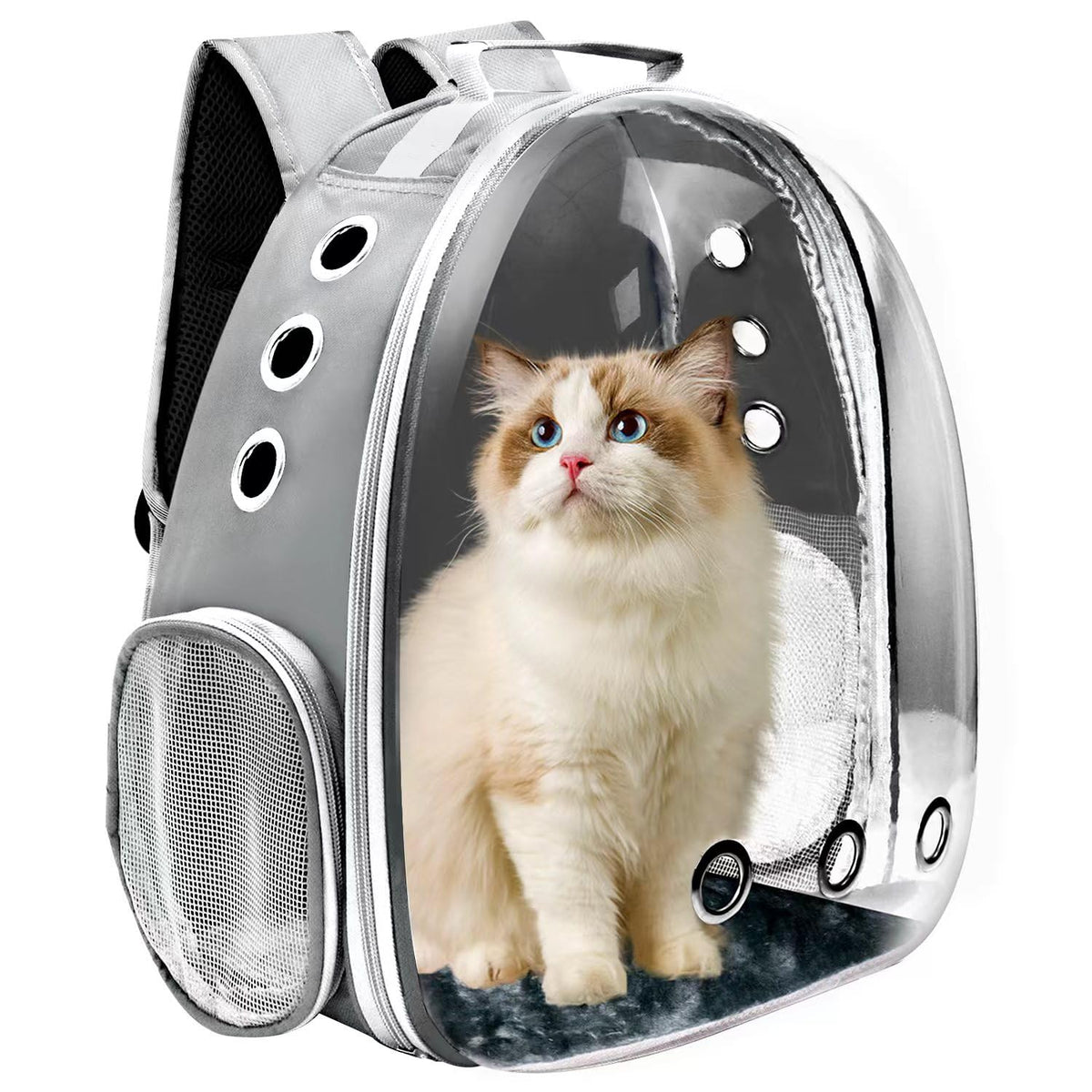 Goxeon cat backpack carrier exterior view showing spacious travel design.