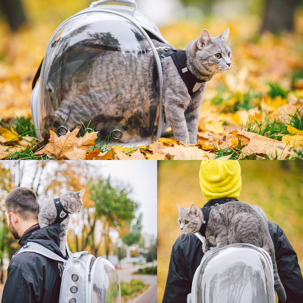 Goxeon cat backpack ergonomic shoulder straps ease carries.