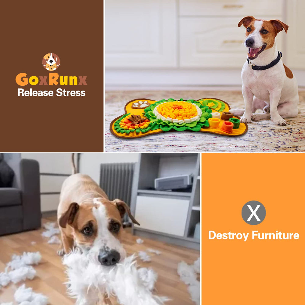 GoxRunx Snuffle Mat bone orange in use demonstrates stress-relief sniffing and focus