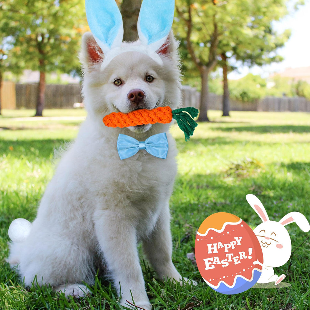 GOYOSWA Easter dog outfit bowtie adds cute formal touch for photos