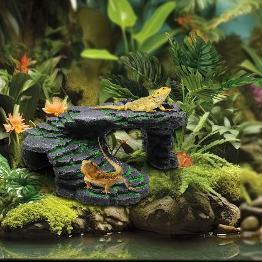 GOZILLA multi-scene terrarium decor enhances aquatic and terrestrial habitats.