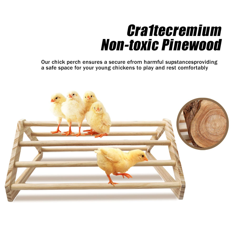 GPGCGSGP Chick Perch fits 6-10 chicks for social play.