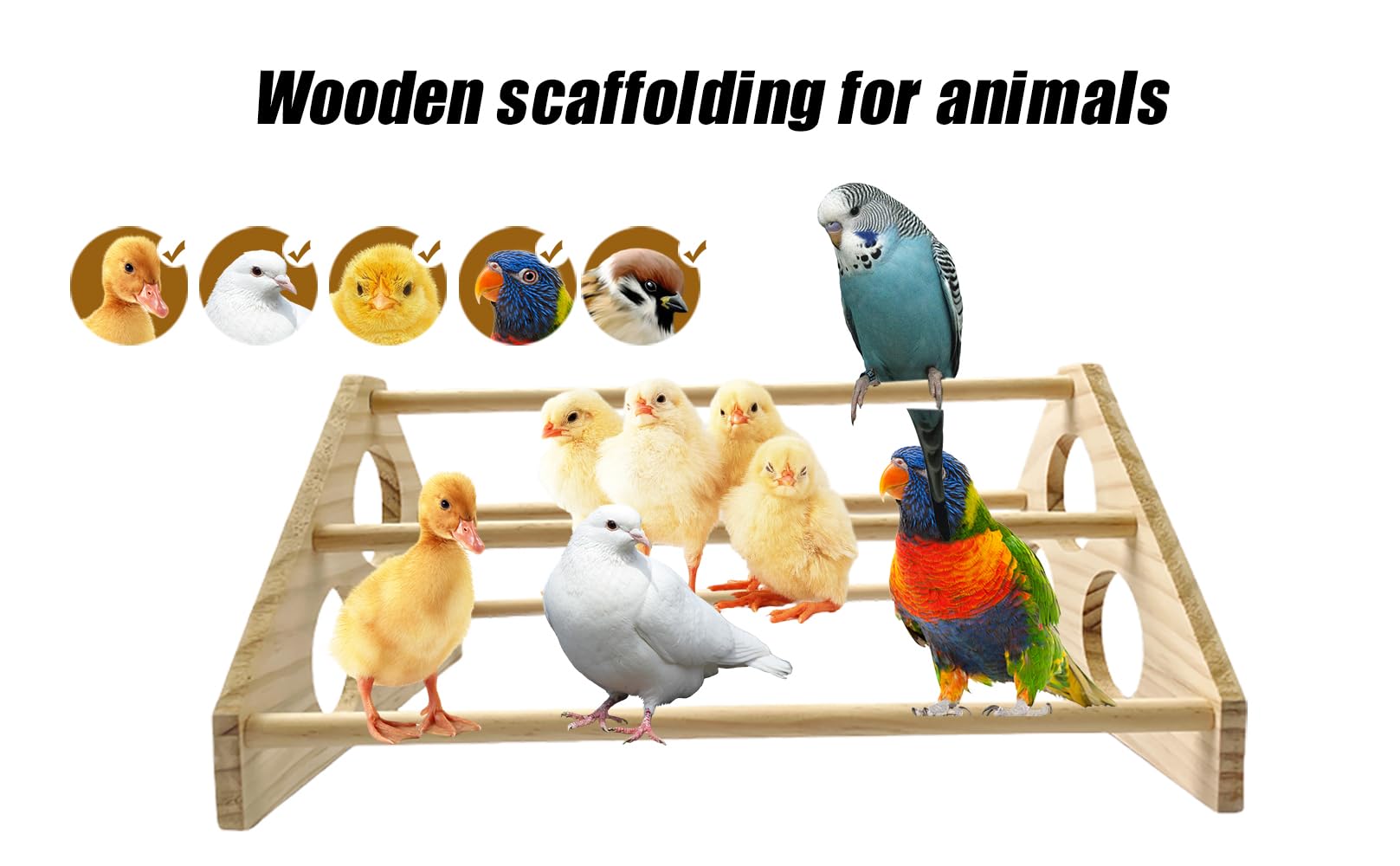 GPGCGSGP easy-cleaning perch with smooth surfaces for quick sanitizing