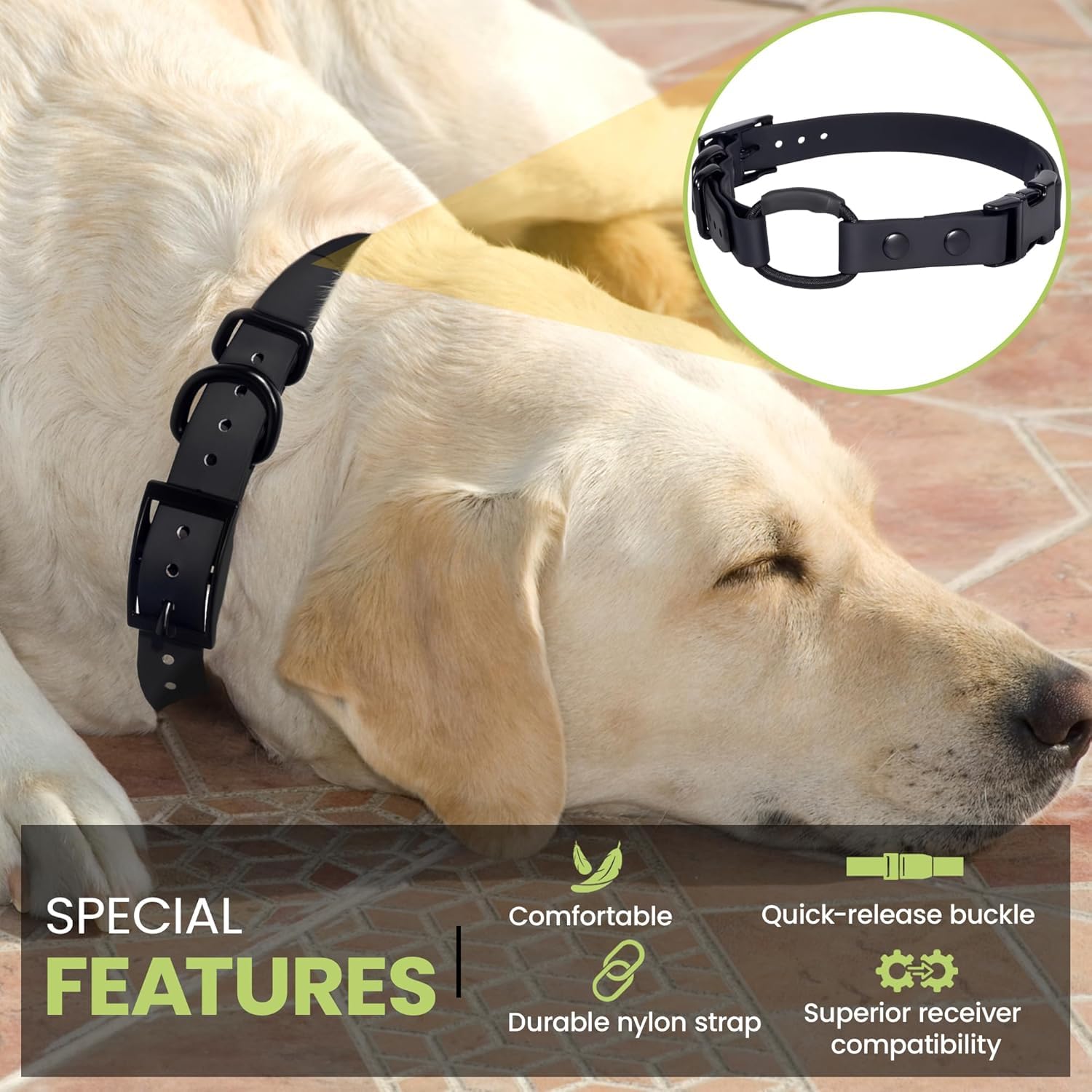 Gracie To The Rescue bungee collar close-up showing easy removal