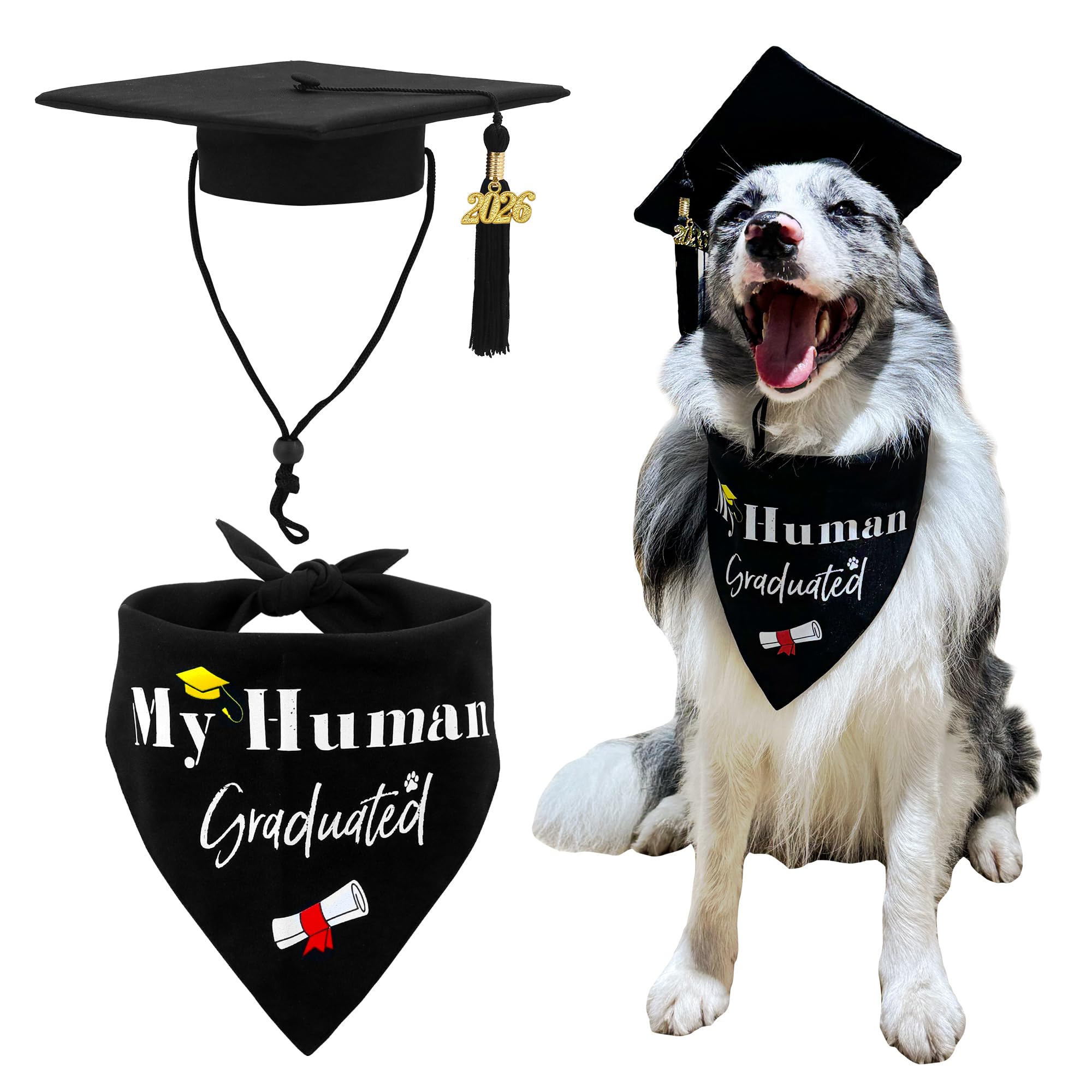 GraduatePro 2026 dog graduation cap for festive milestone photos