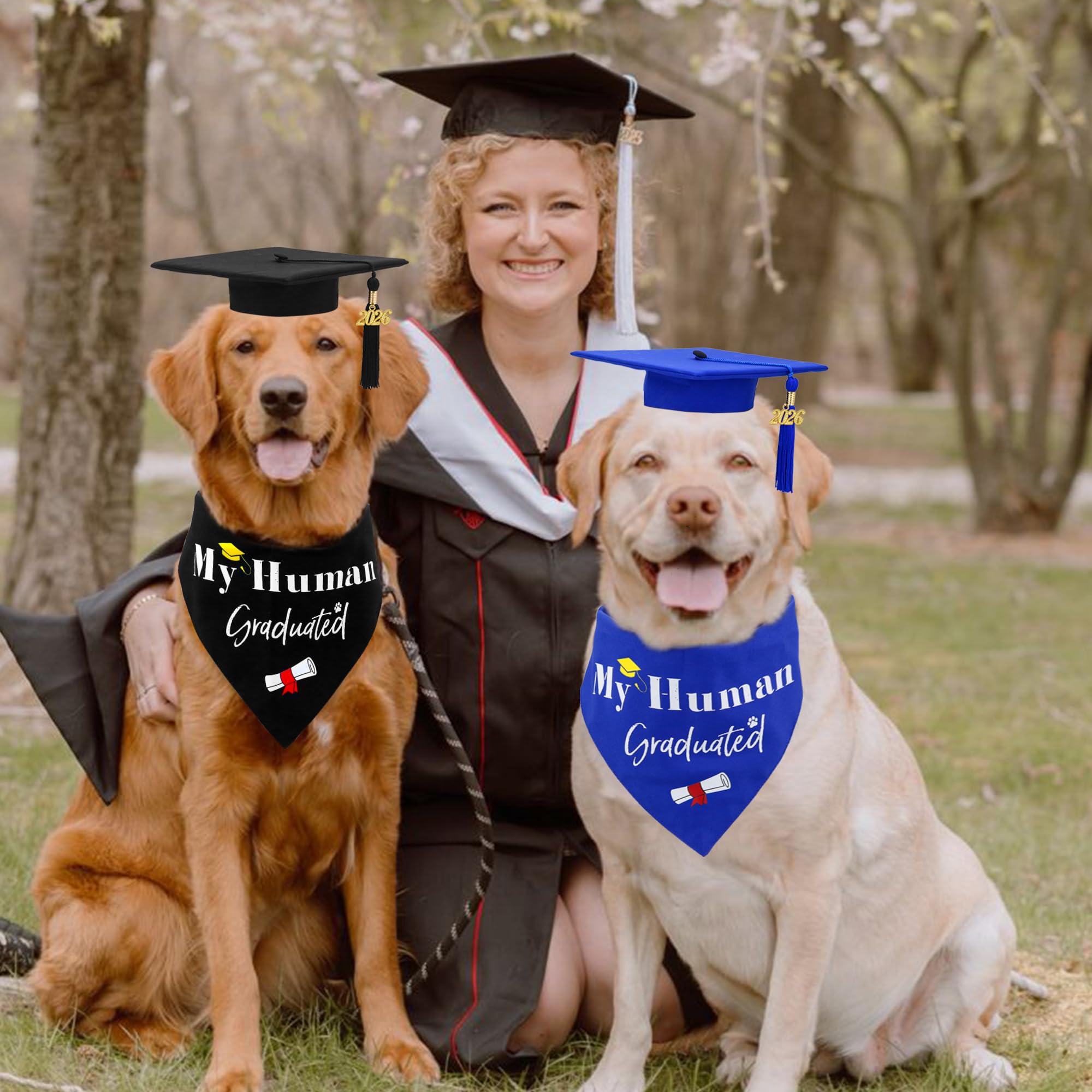 GraduatePro classic black cap with royal set colors remains vibrant through wear