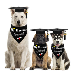 GraduatePro dog graduation photo props help create heartwarming scenes