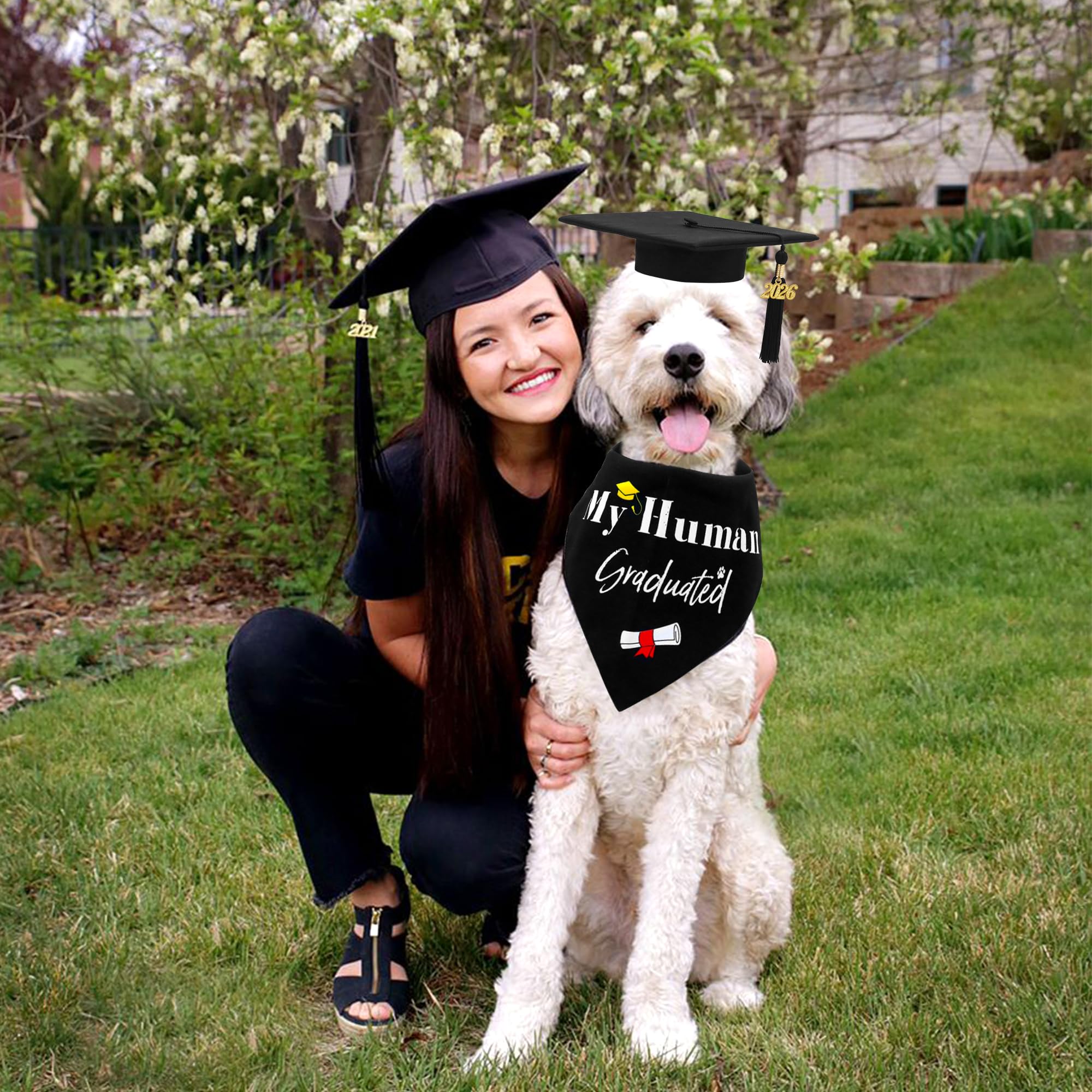 GraduatePro dog graduation set supports memorable occasions with easy-to-use design