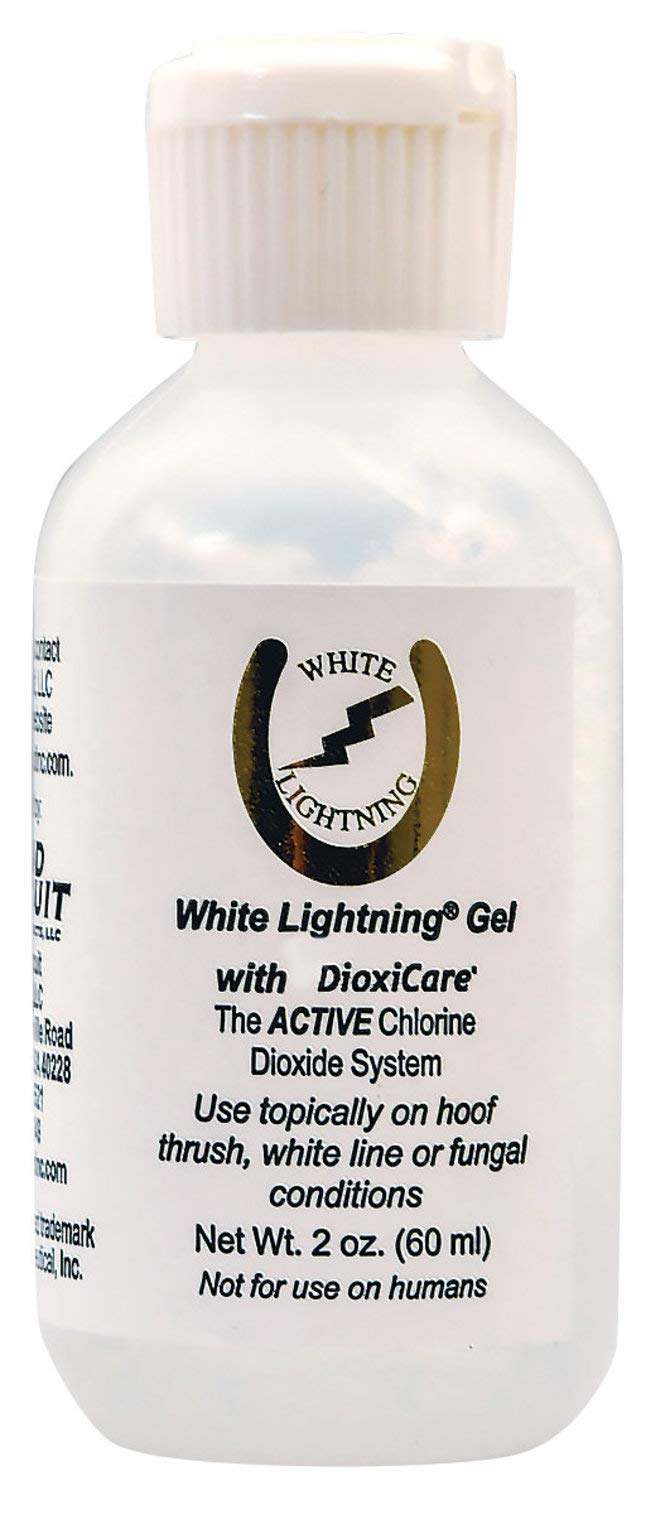Grand Circuit White Lightning Gel application on a hoof for fungal care.