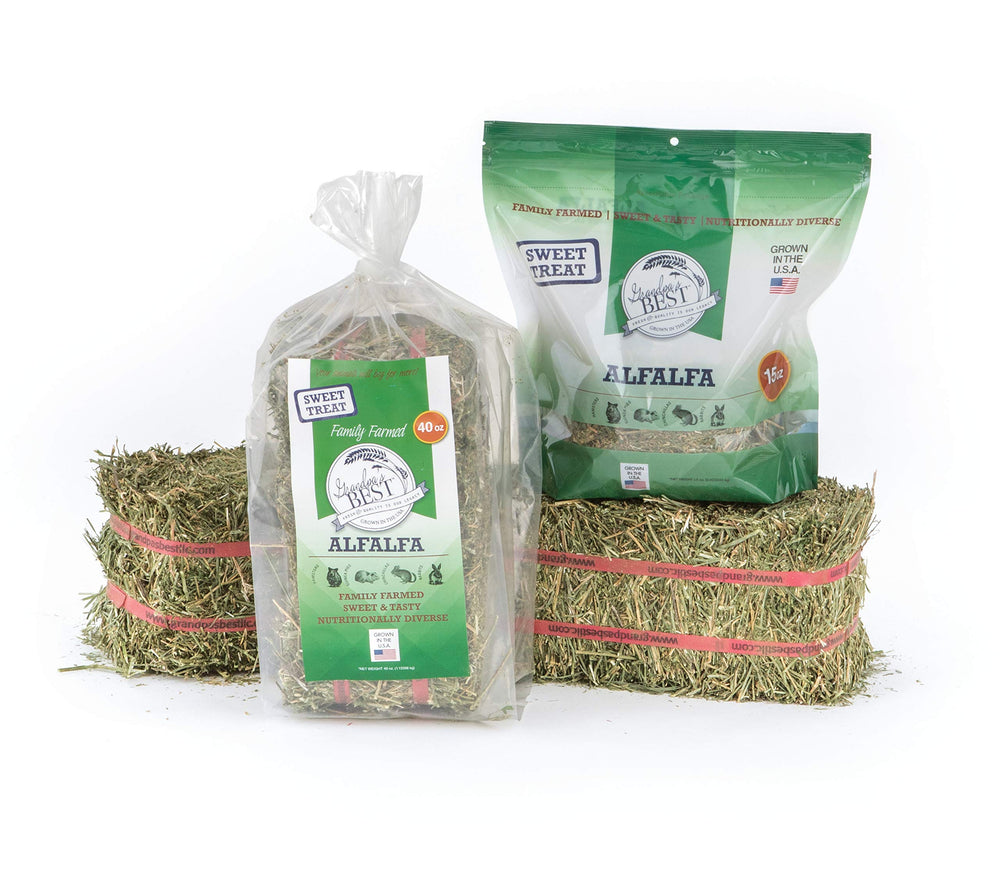Grandpa's Best Alfalfa Hay dental-friendly nibbling for small pets.