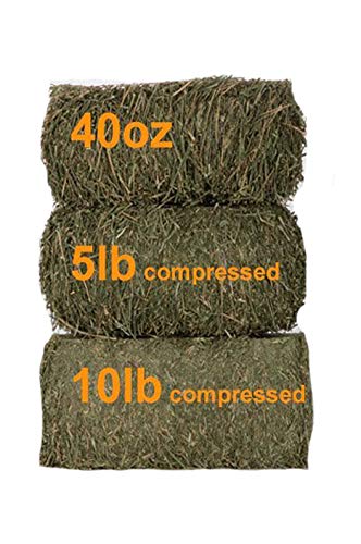 Grandpa's Best Alfalfa Hay easy-mealtime setup streamlines feeding routines.