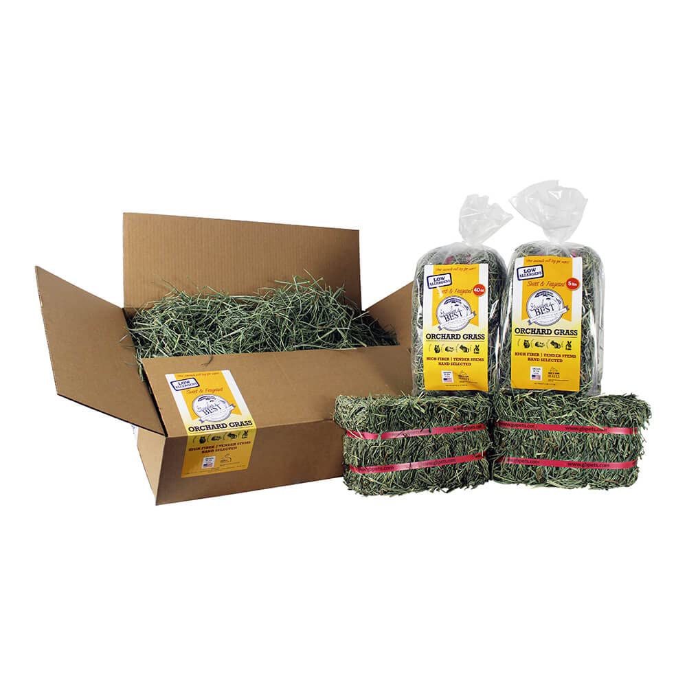 Grandpa's Best Orchard Grass Hay color brown hints at natural, low-dust quality for sensitive eaters.