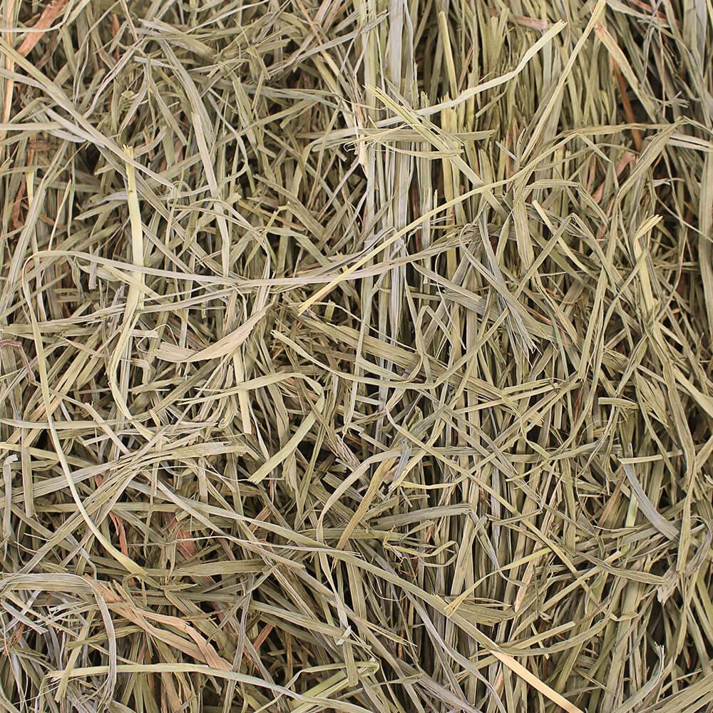 Grandpa's Best Orchard Grass Hay loose packaging view highlights easy scooping for daily feeding.