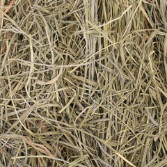 Grandpa's Best Orchard Grass Hay loose packaging view highlights easy scooping for daily feeding.