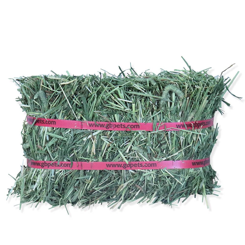 Grandpa's Best Timothy Hay mini bale dental-care-support chew-time