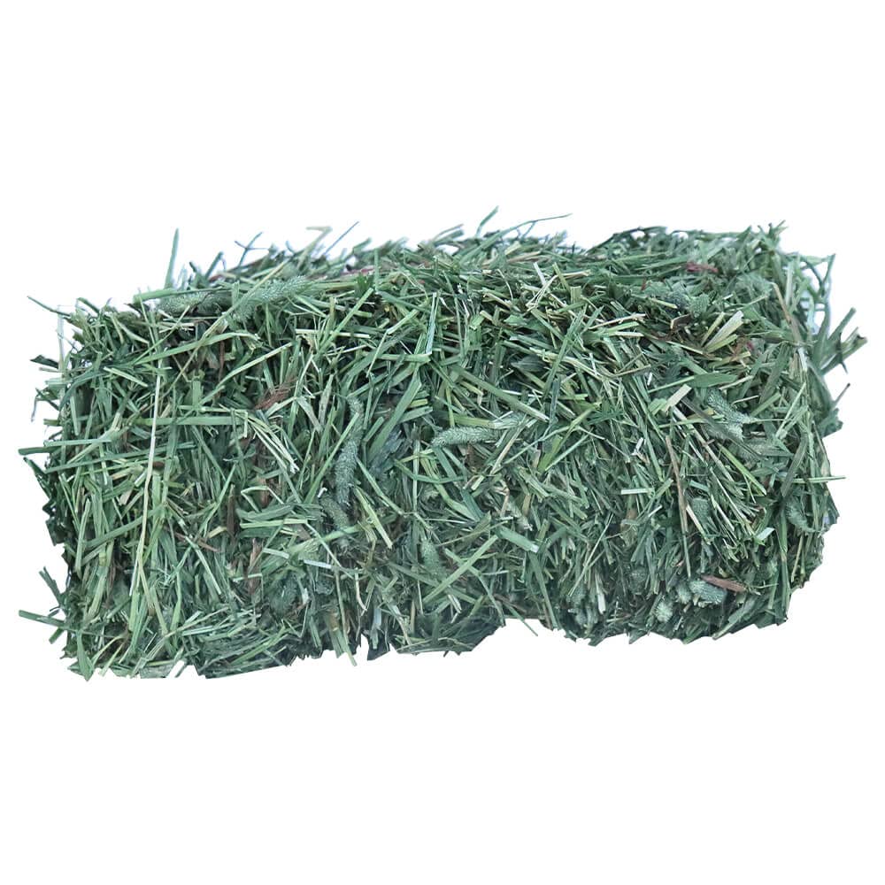 Grandpa's Best Timothy Hay mini bale easy-feeding option for daily use