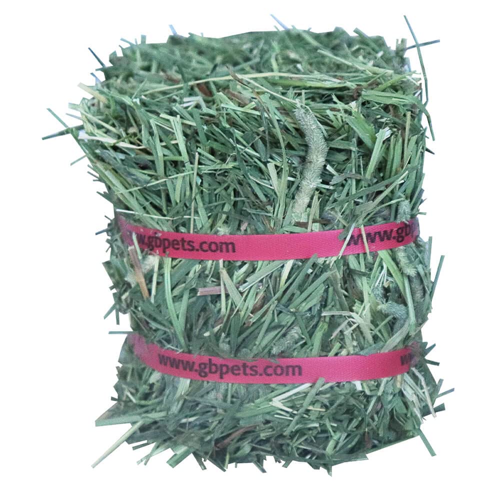 Grandpa's Best Timothy Hay mini bale fiber-rich formula for digestion balance
