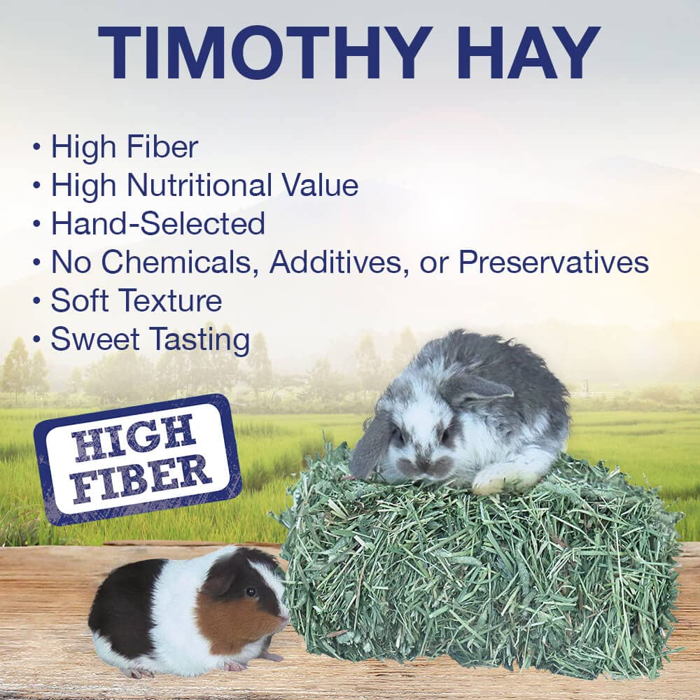 Grandpa's Best Timothy Hay mini bale playtime nibble to encourage activity