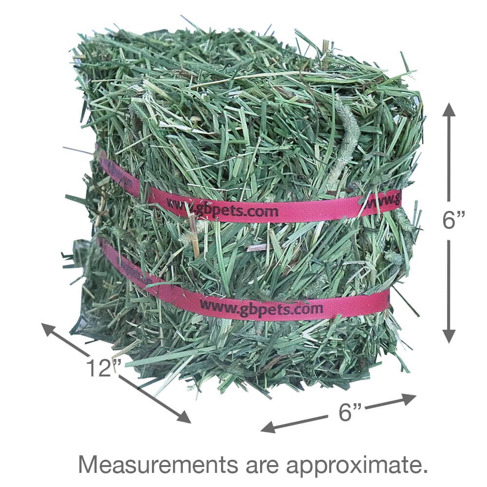 Grandpa's Best Timothy Hay mini bale ready-to-feed for pets