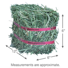 Grandpa's Best Timothy Hay mini bale ready-to-feed for pets