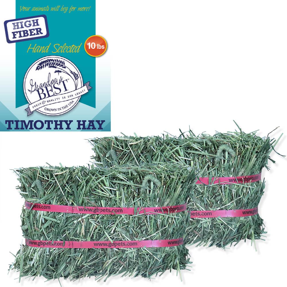 Grandpa's Best Timothy Hay mini bale soft texture close-up for fiber-rich feeding