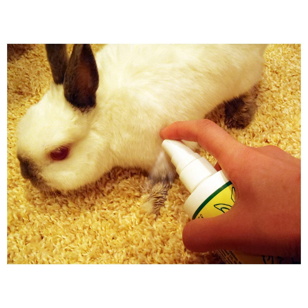 Grannick's Bitter Apple mist for easy application on problem areas