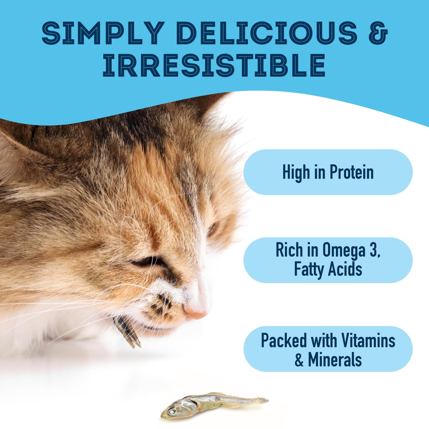 The Granville Island Pet Treatery sardines deliver omega-3s for healthy coats and joints.