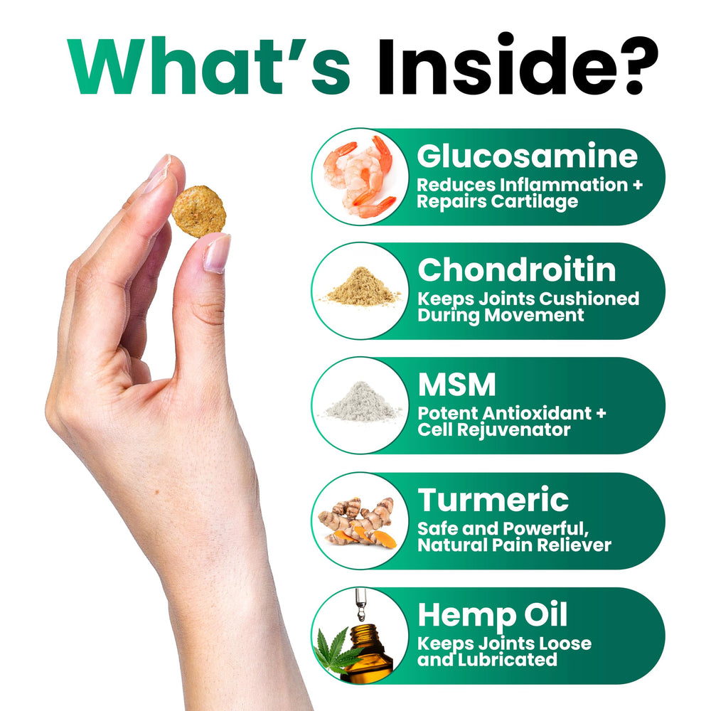 Grateful Pawz MSM and green-lipped mussels chews highlight natural joint lubrication.