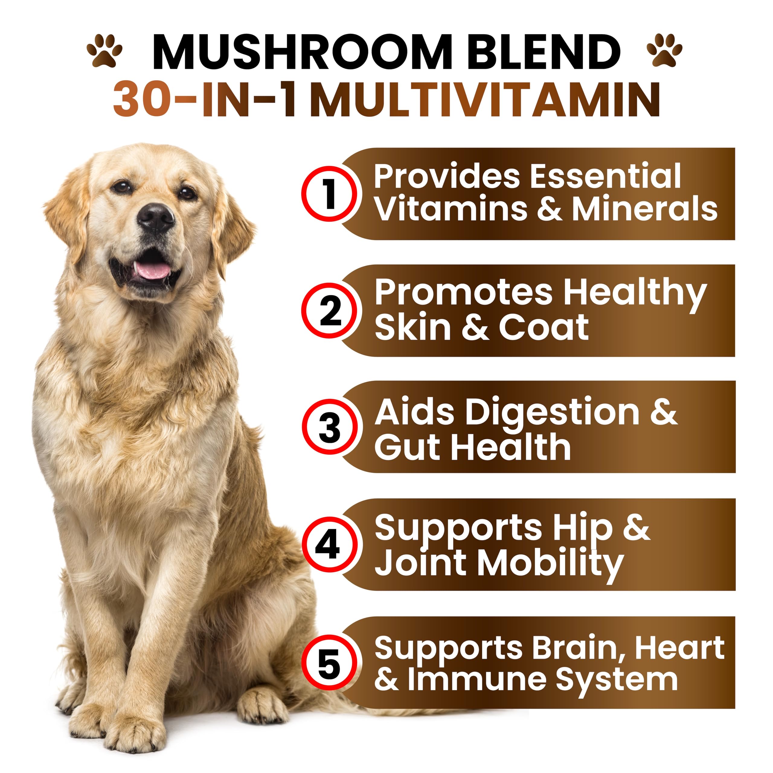 Grateful Pawz seven-mushroom formula dog chews for vitality.